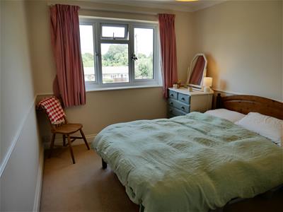 Picture 20